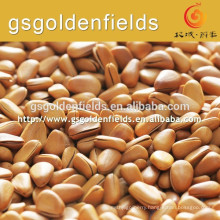 2017 pine nuts white pine nuts with high quality